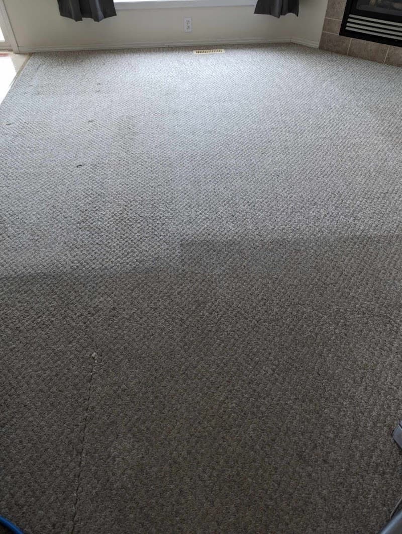 Beyond Carpet Cleaning main photo