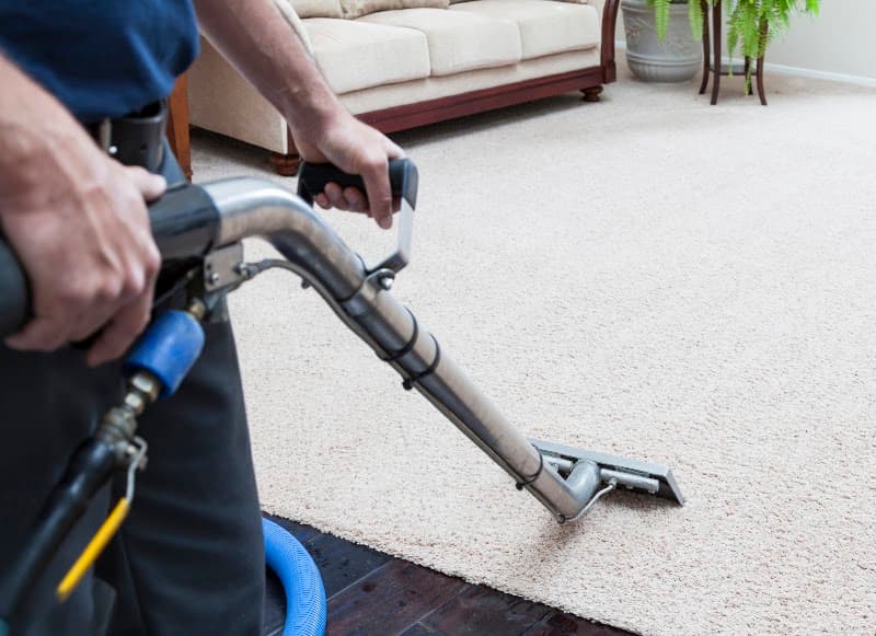 Citrus Carpet Cleaners in Edmonton