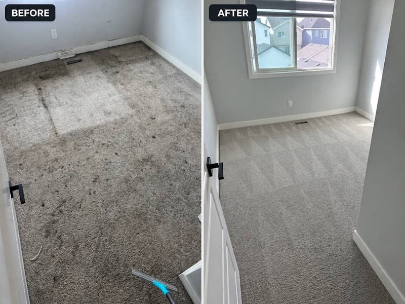 MK Shine Carpet & Upholstery Cleaning Experts main photo