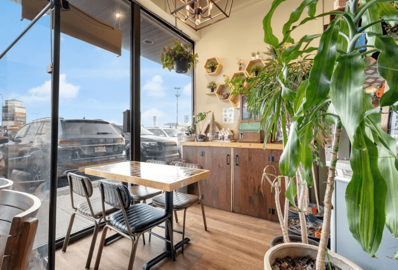 Urban Plant Cafe main photo