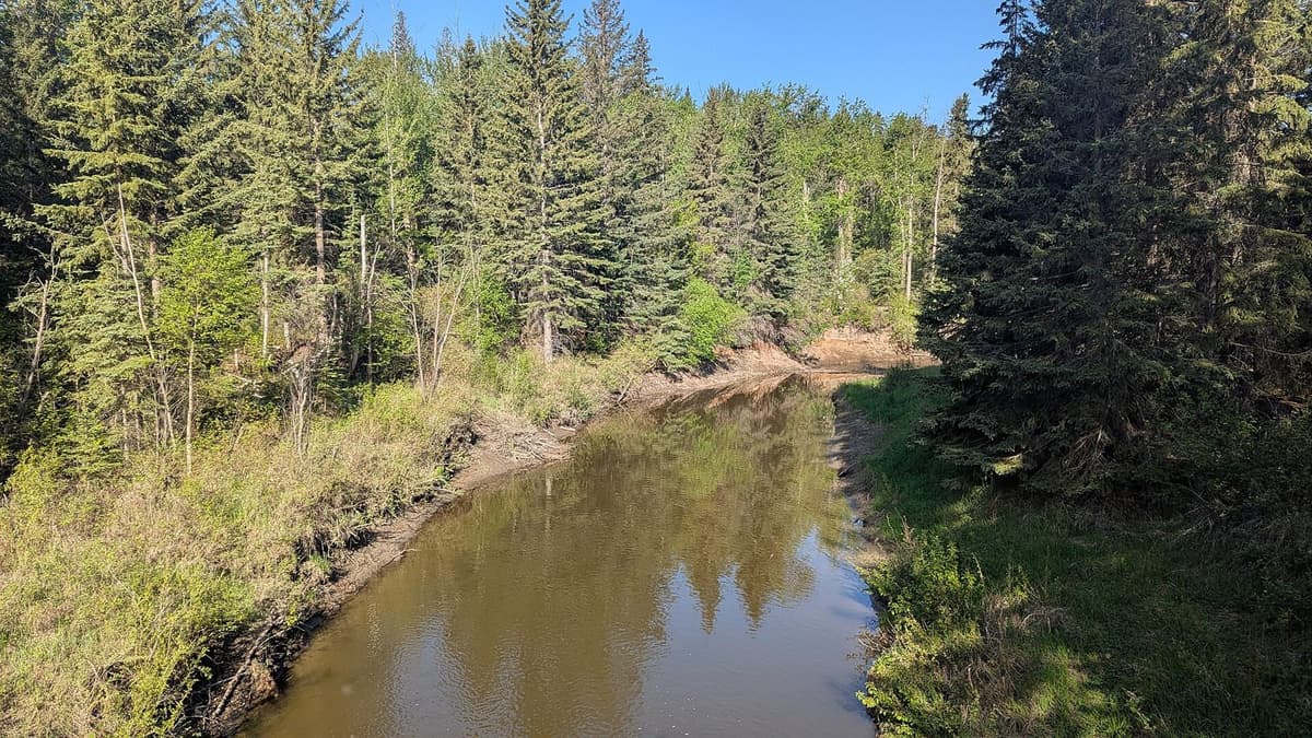 South Edmonton, Edmonton