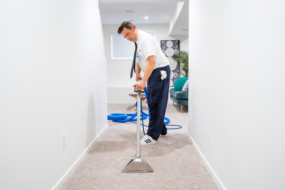 Alberta Carpet Cleaning