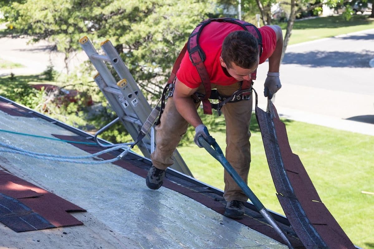 Alf's Roofing Ltd, roofing company in Edmonton
