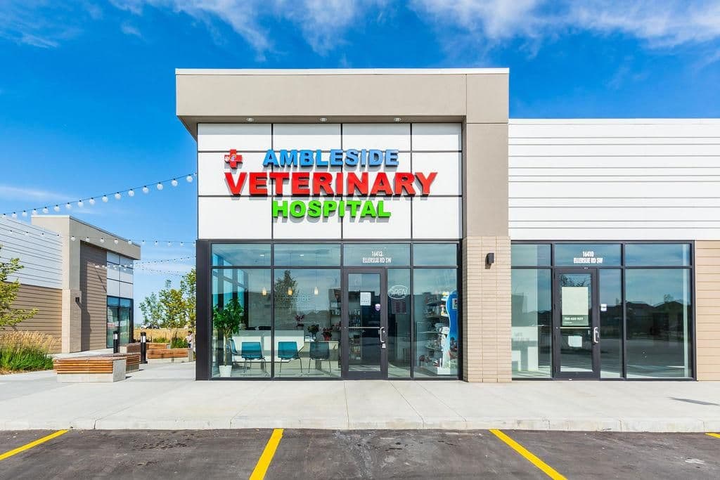 Ambleside Veterinary Hospital in Windermere, Edmonton