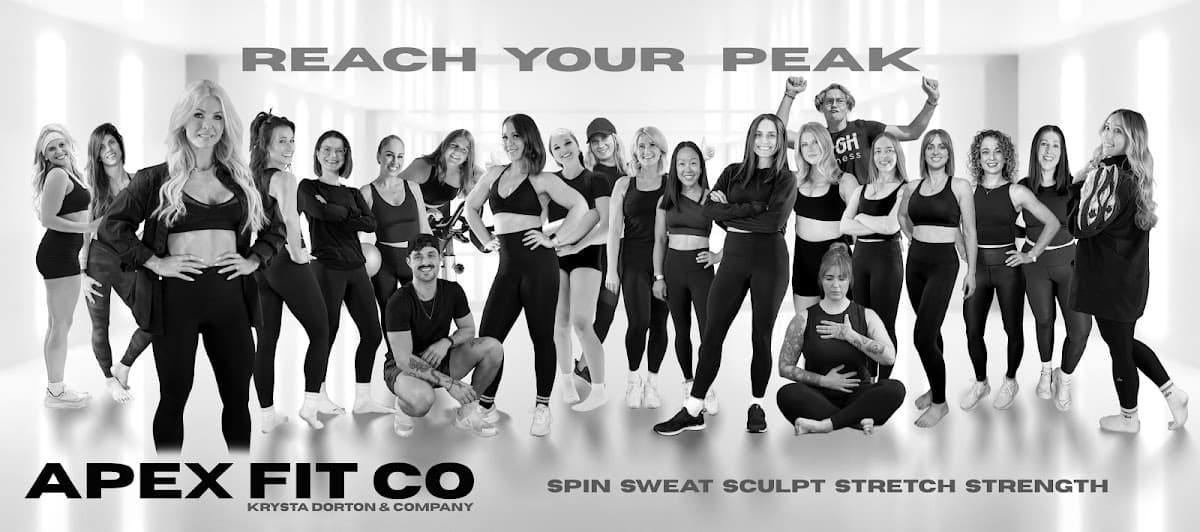 APEX FIT CO main photo