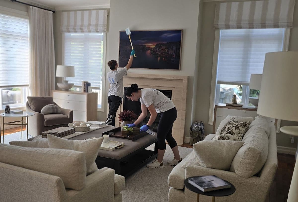 Art Of CleaNest in West Edmonton