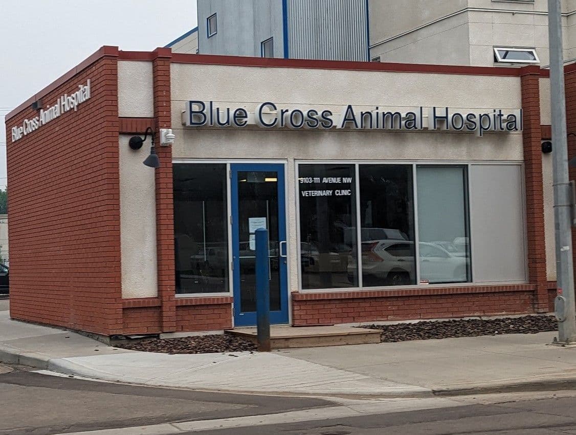Blue Cross Animal Hospital in North Edmonton
