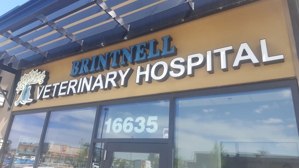Brintnell Veterinary Hospital in North Edmonton
