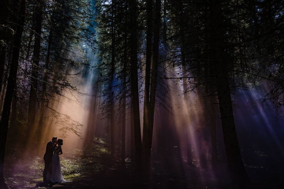 Buffy Goodman Photography in 124 Street, Edmonton