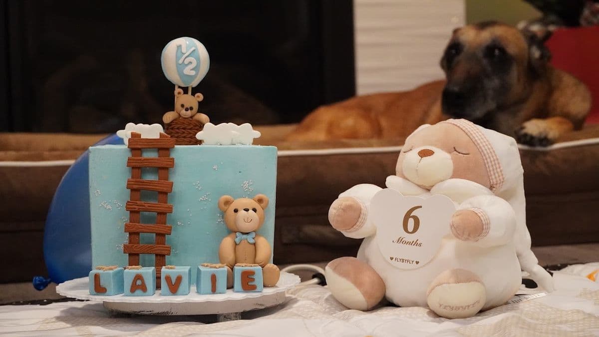 Cake Affair in Spruce Grove, AB