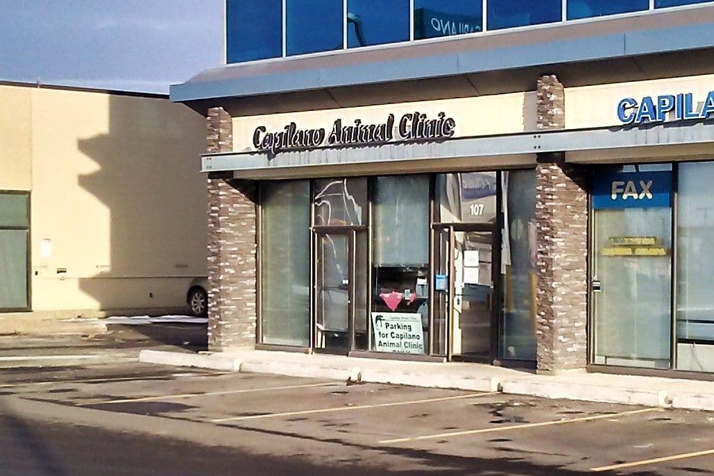 Capilano Animal Clinic in Edmonton
