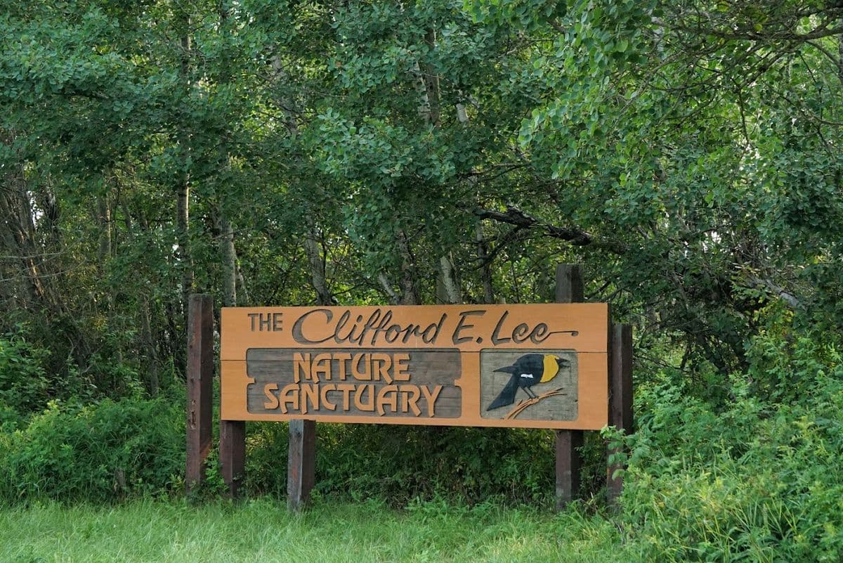 Clifford E. Lee Nature Sanctuary