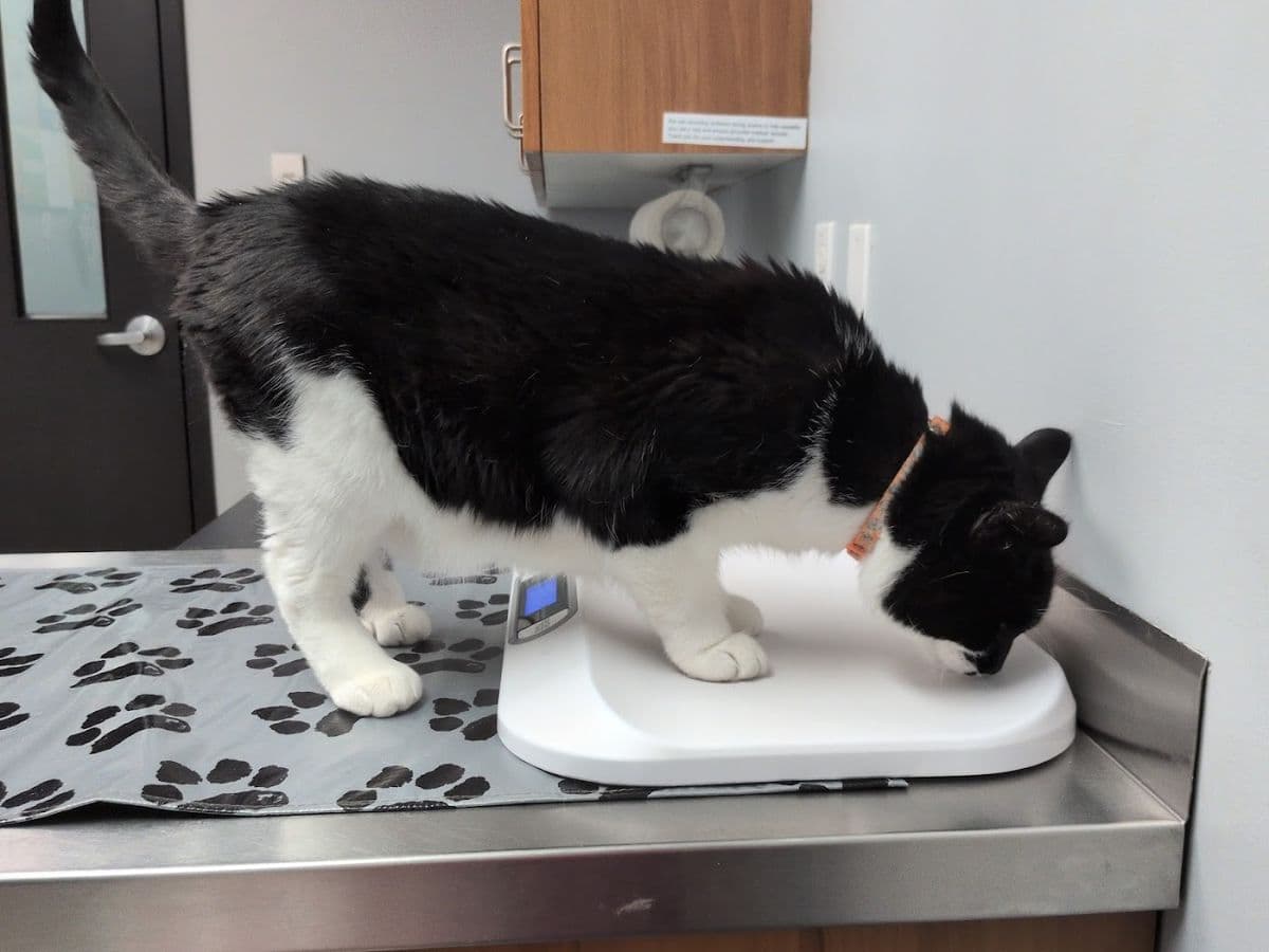 Delton Veterinary Hospital main photo