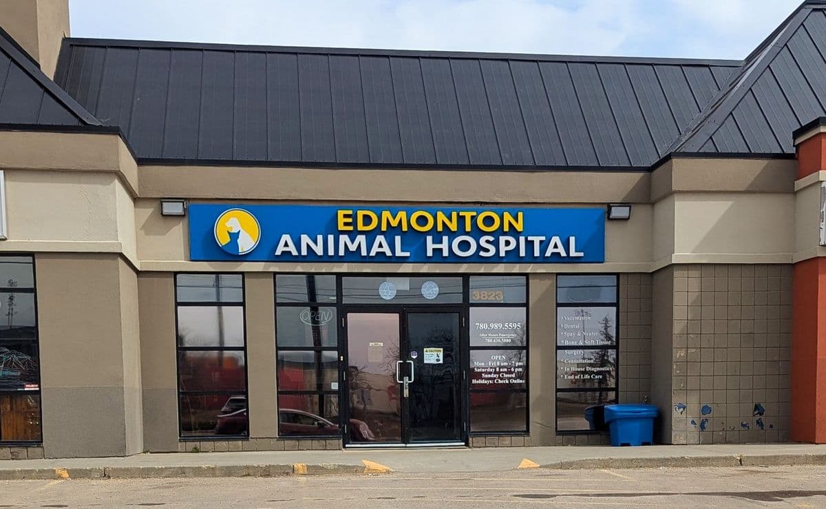 Edmonton Animal Hospital in South Edmonton