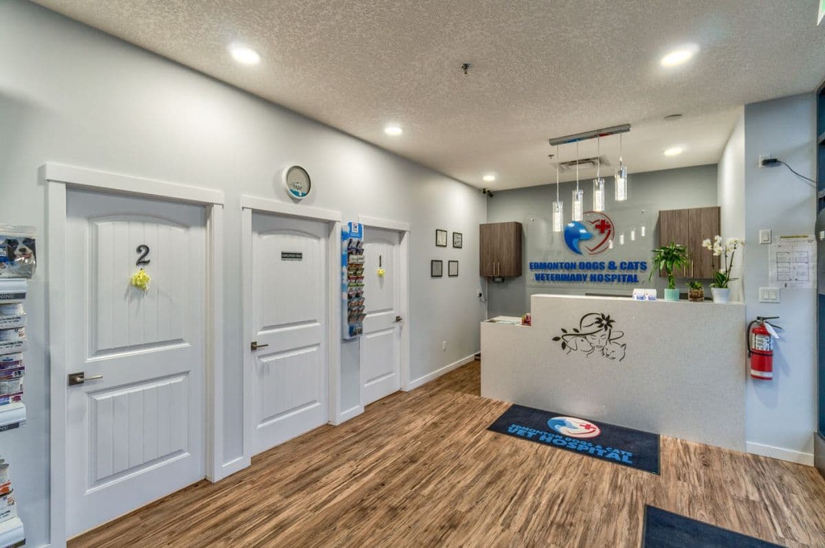 Edmonton Dogs and Cats Veterinary Hospital in North Edmonton