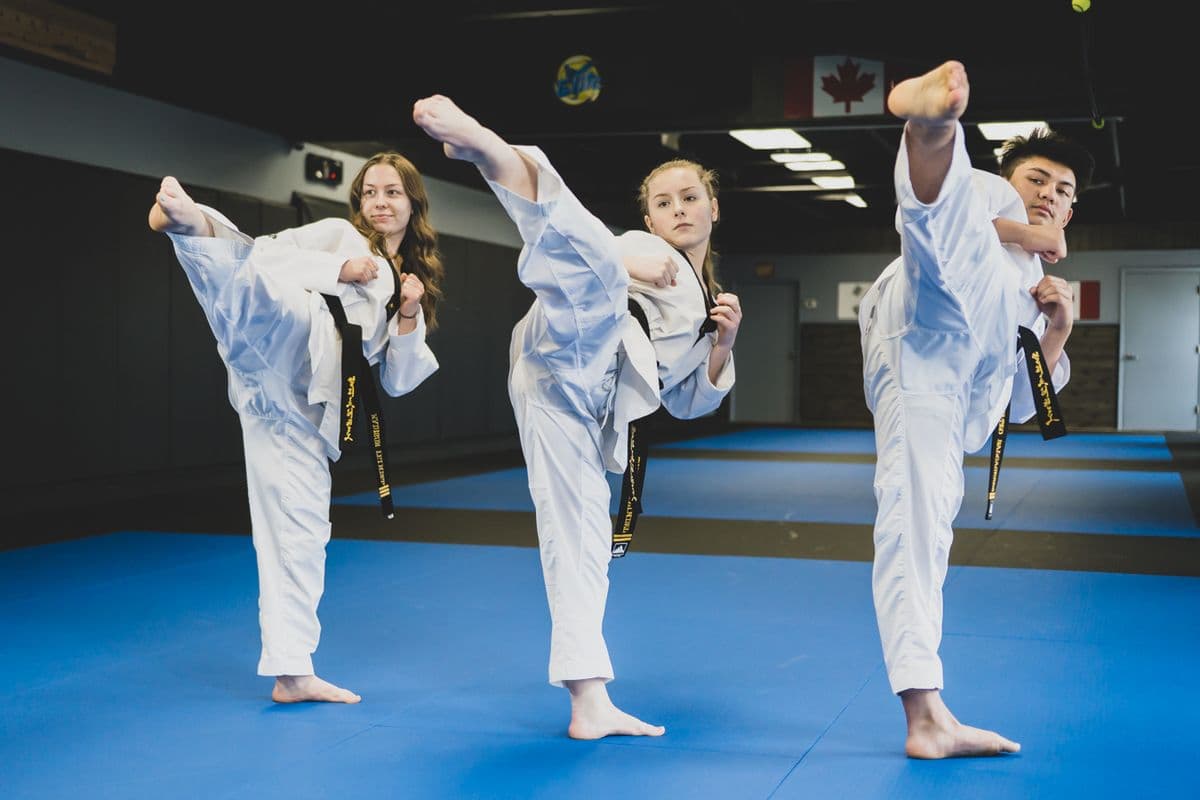 Elite Taekwondo & Brazilian Jiu Jitsu in South Edmonton