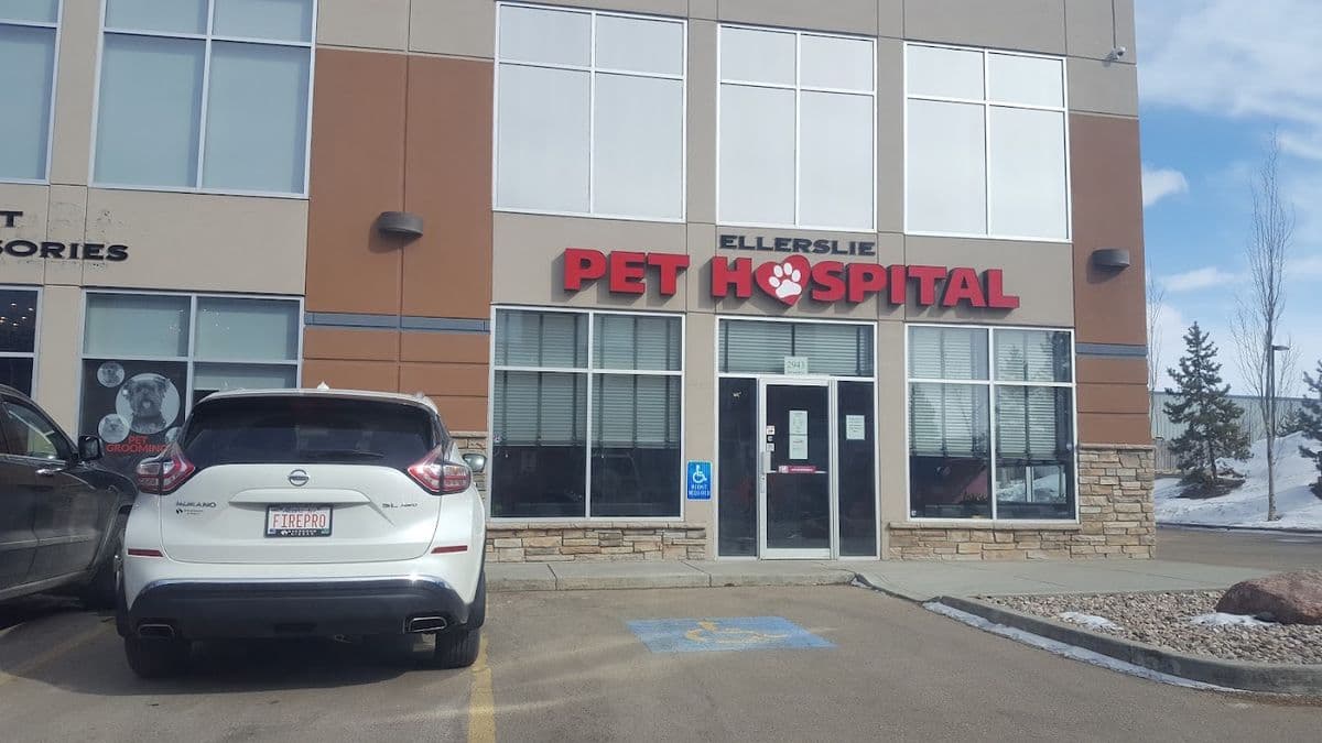 Ellerslie Pet Hospital in South Edmonton