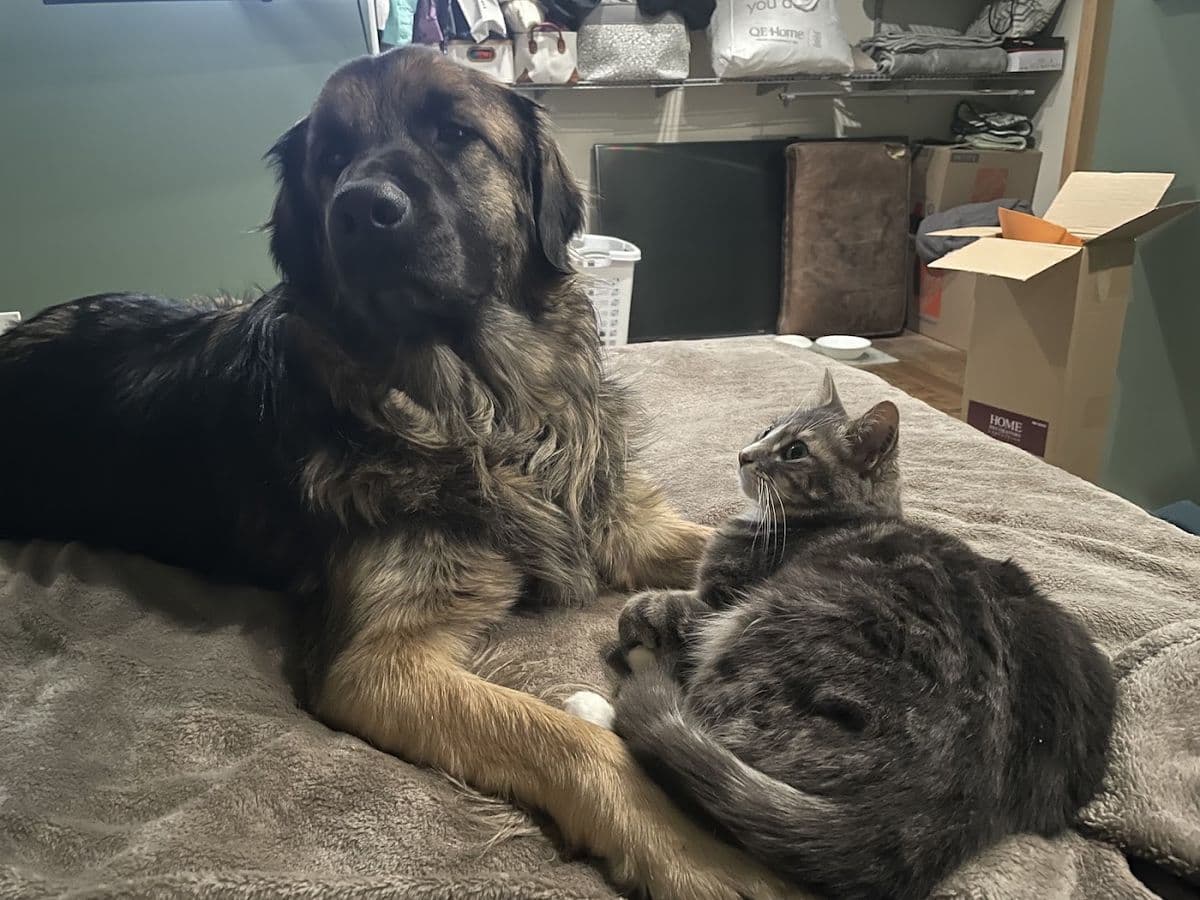 Fort Saskatchewan Veterinary in Fort Saskatchewan, AB
