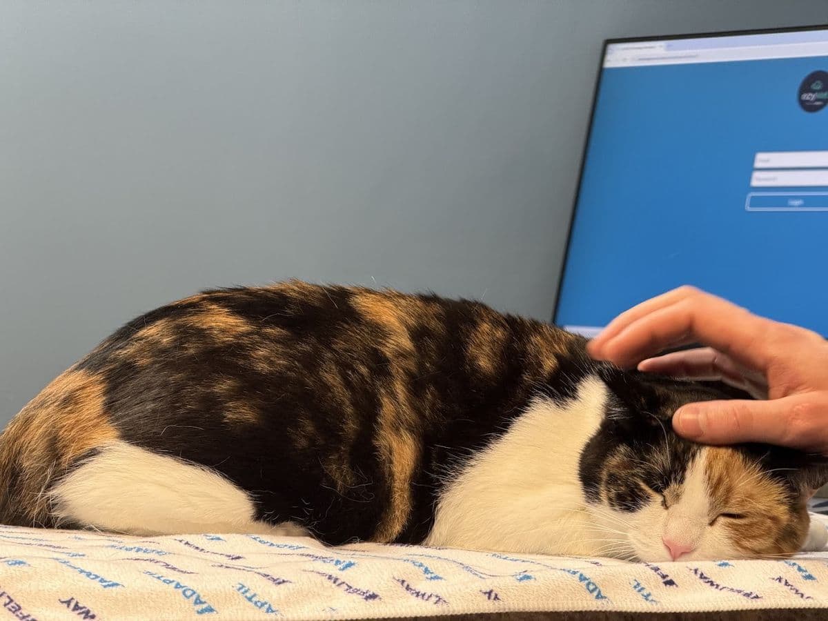 Hermitage Veterinary Hospital in North Edmonton