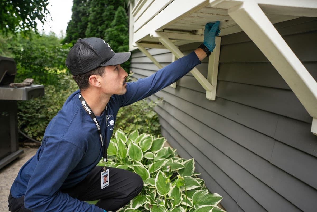 Insight Pest Solutions in Edmonton