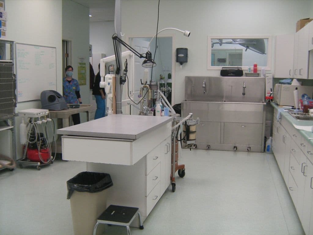Leduc Animal Clinic main photo