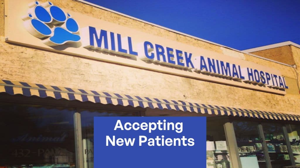 Mill Creek Animal Hospital in Whyte Ave, Edmonton