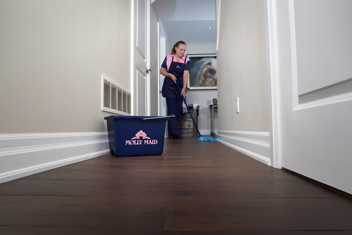 Molly Maid Edmonton