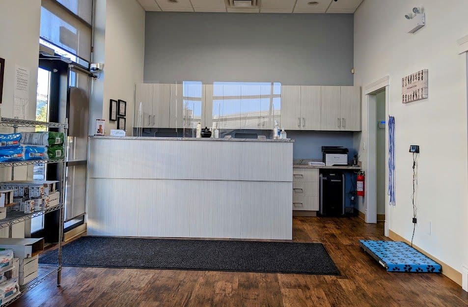 North West Veterinary Dermatology Services in St. Albert, AB