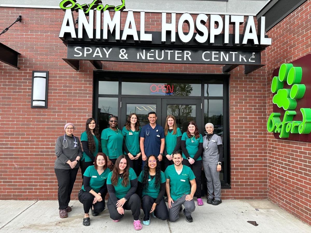 Oxford Animal Hospital in Castle Downs, Edmonton