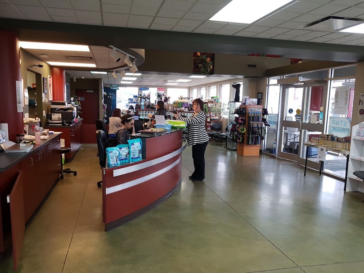 Park Veterinary Centre in Sherwood Park, AB