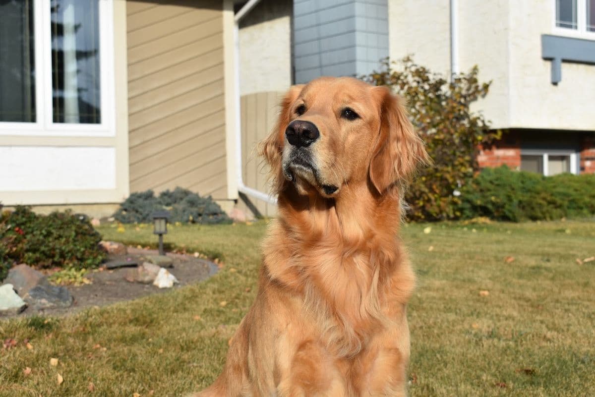 Riverside Veterinary Clinic in St. Albert, AB