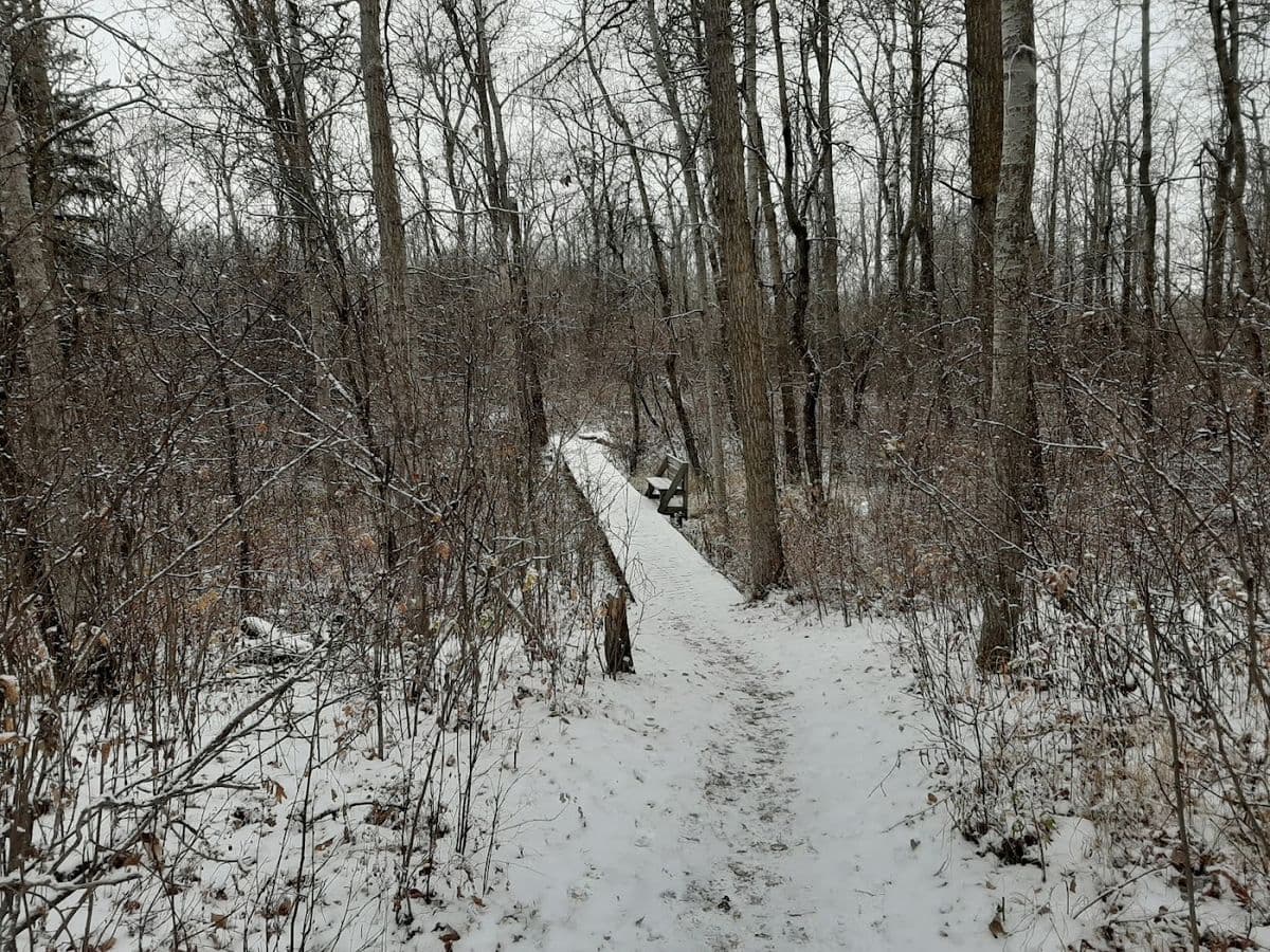 Sherwood Park Natural Area in Sherwood Park, AB