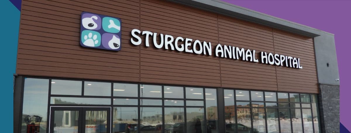 Sturgeon Animal Hospital in St. Albert, AB