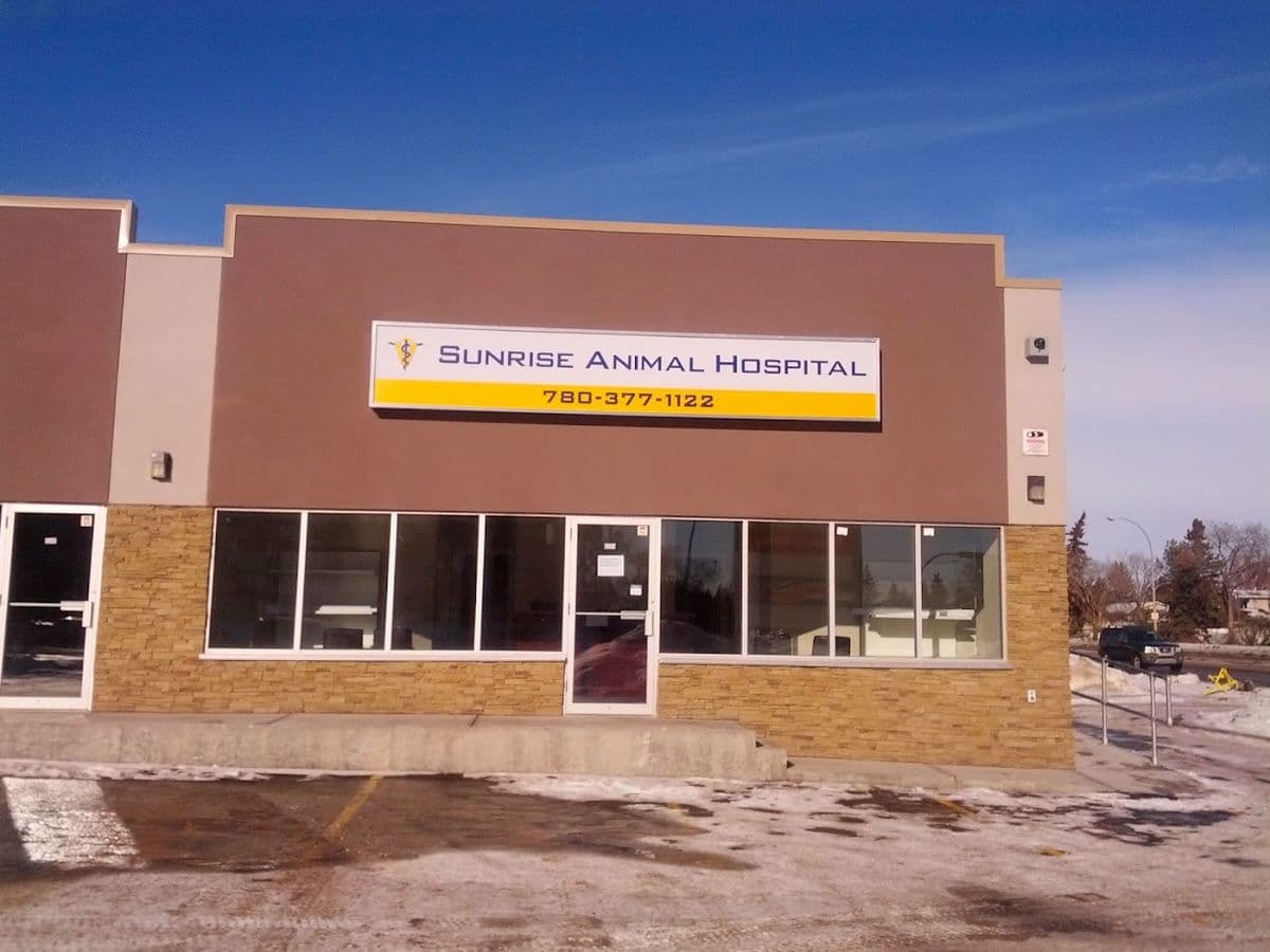 Sunrise Animal Hospital in North Edmonton