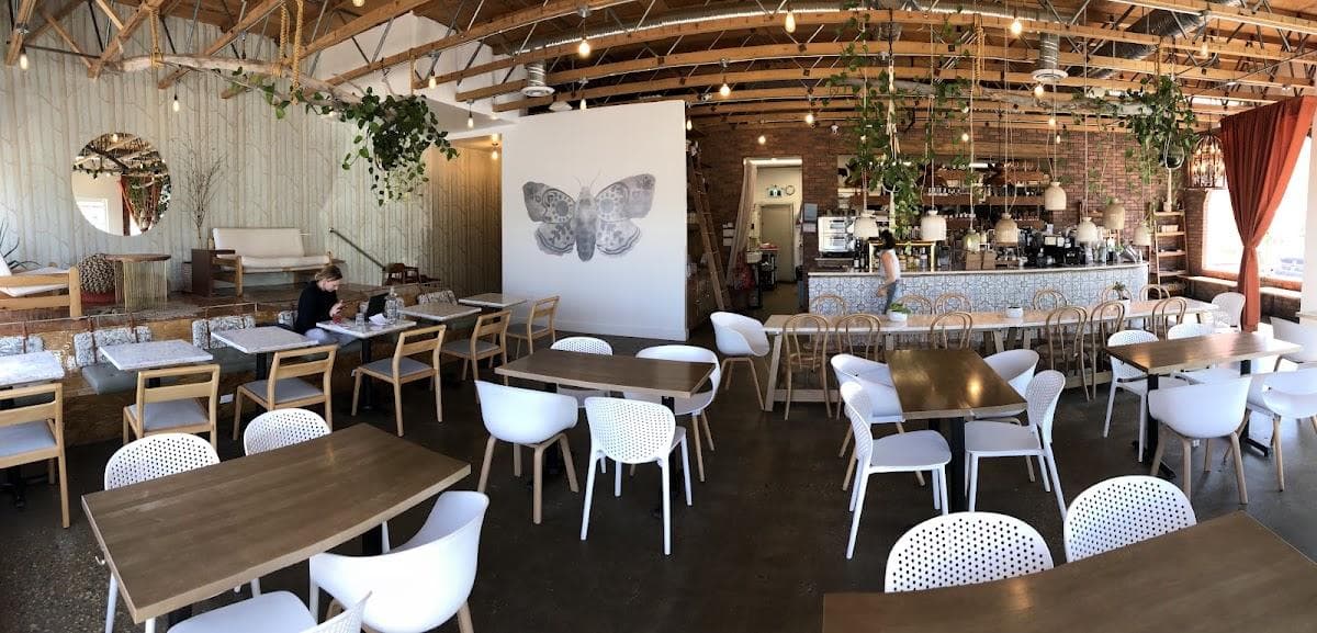 The Moth Cafe