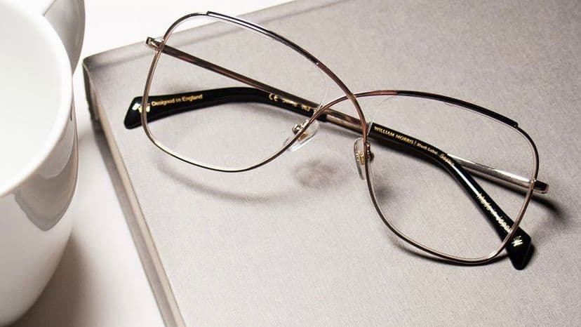 Trendz Optical ltd ~ Where Vision Meets Style in Sherwood Park, AB