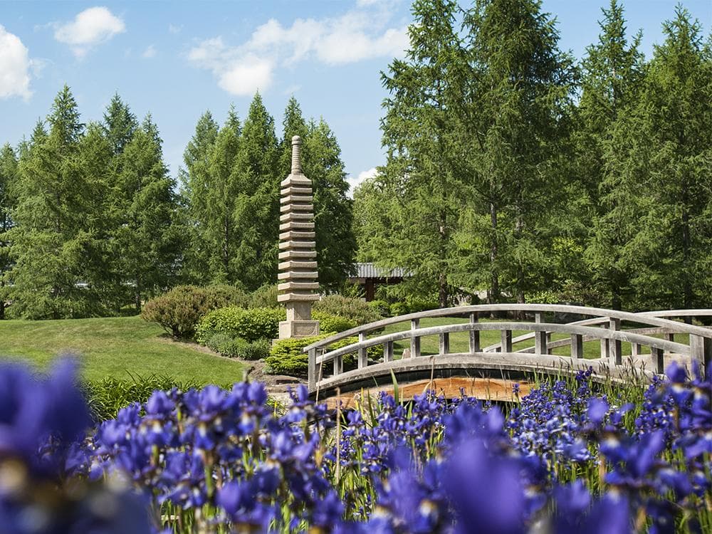 U of A Botanic Garden in West Edmonton