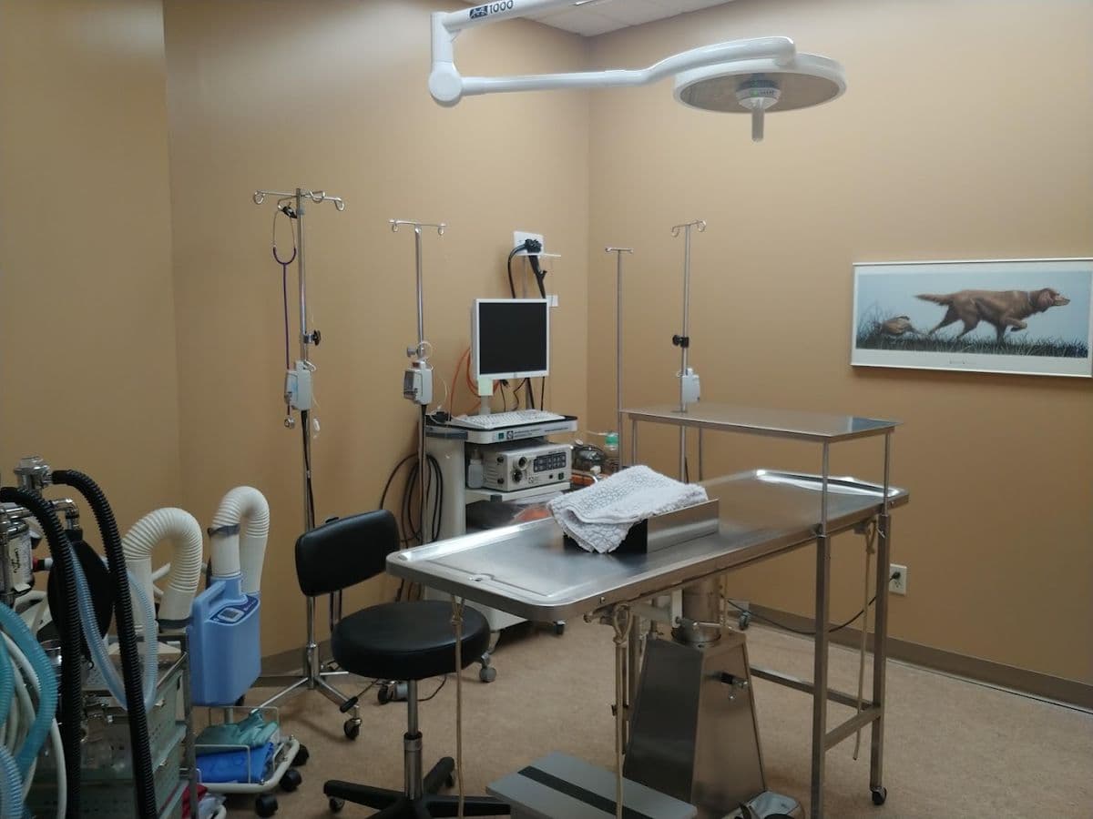 VCA Canada Mills Haven Animal Hospital main photo