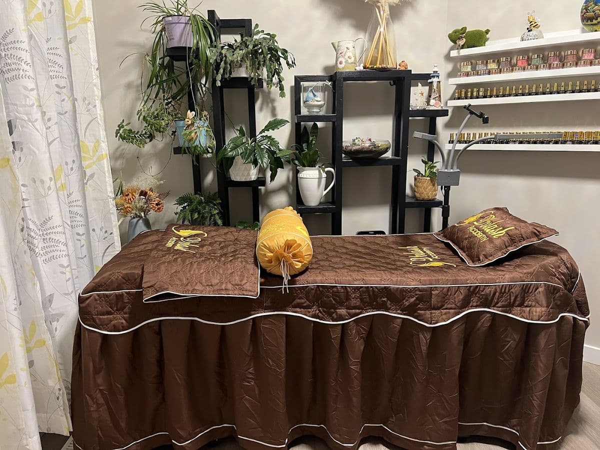 VVLASH AND BEAUTY STUDIO in North Edmonton