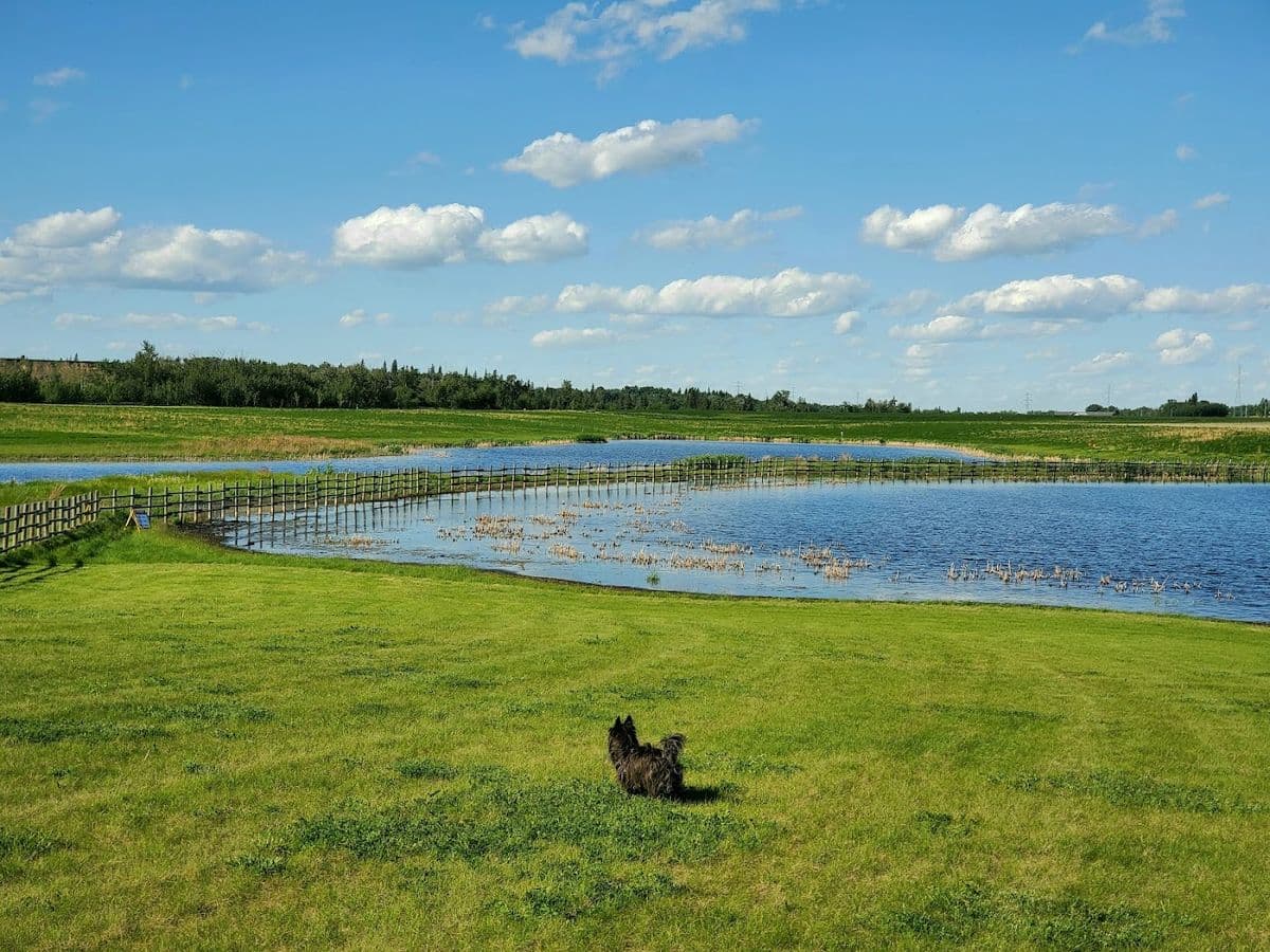 West River's Edge Dog Park in Fort Saskatchewan, AB