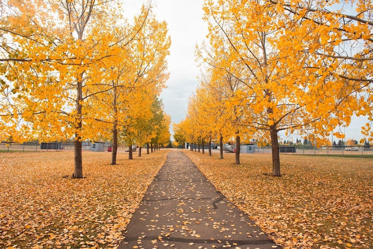 William F. Lede Park in Leduc, AB